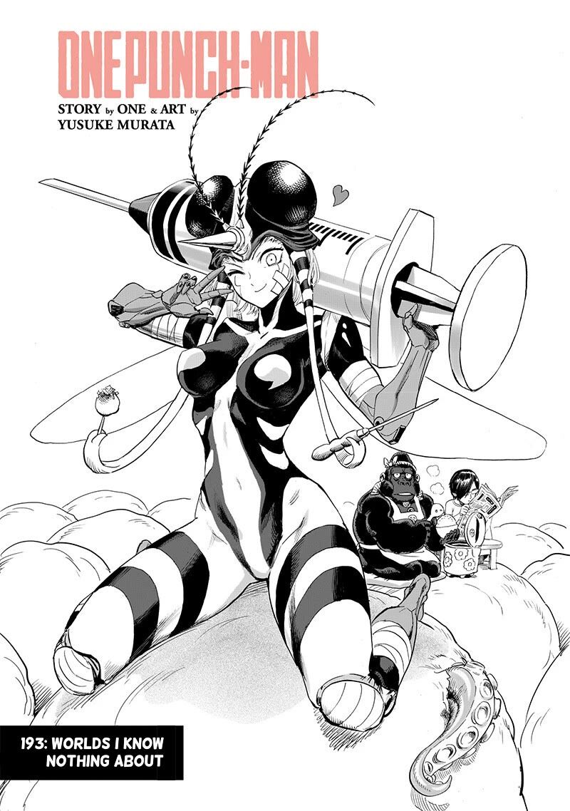 Chapter 253-Chapter 193 Image(1)