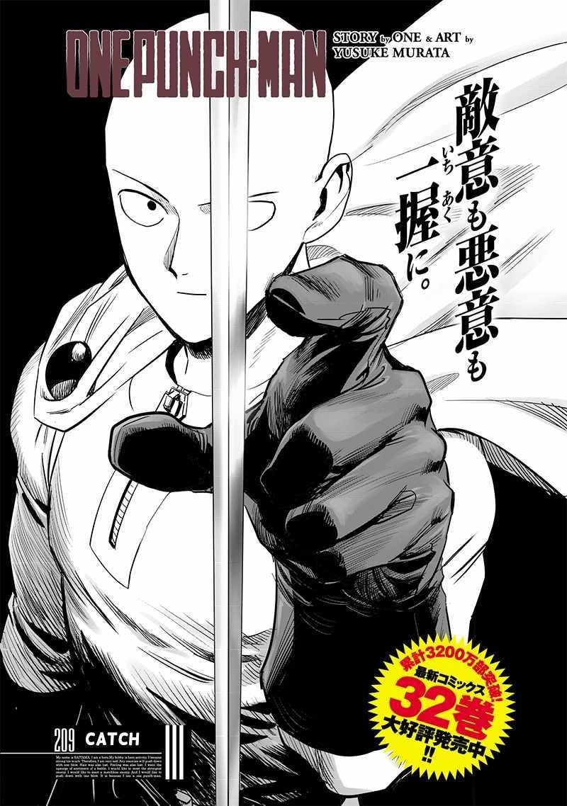 Chapter 270-Chapter 209 Image(1)