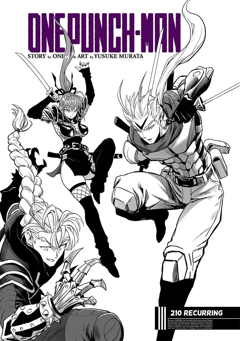 Chapter 271-Chapter 210 Image(1)
